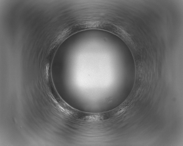 X0000052590118200507081804
