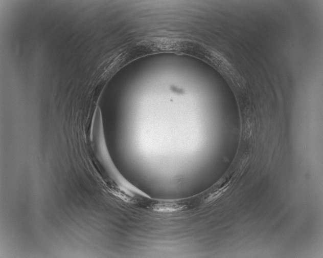 X0000052590121200507081804