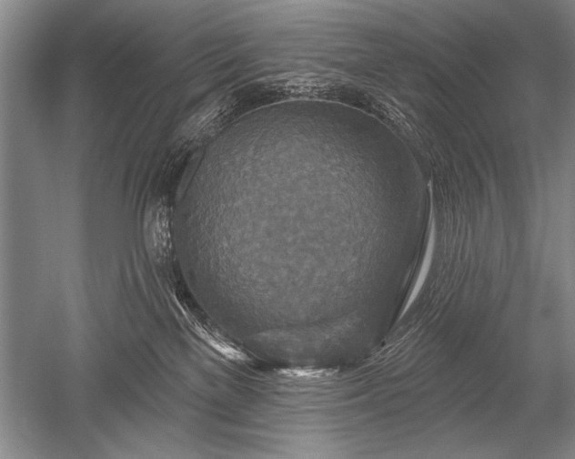 X0000052590137200507081804