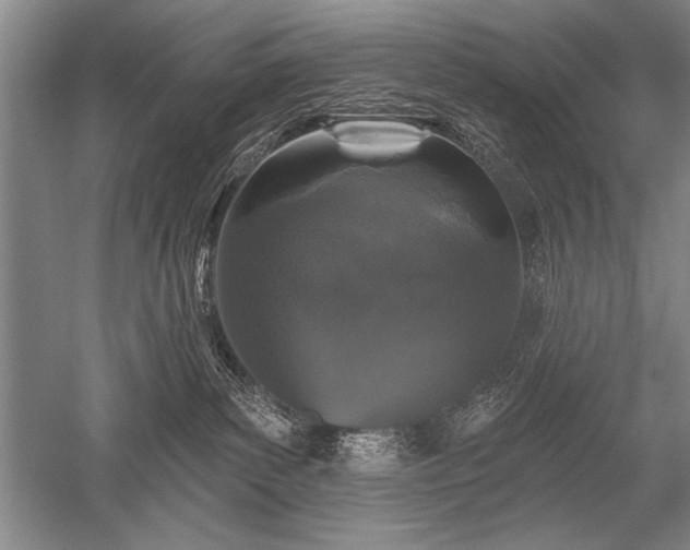 X0000052590139200507081804