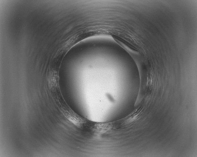 X0000052590141200507081804