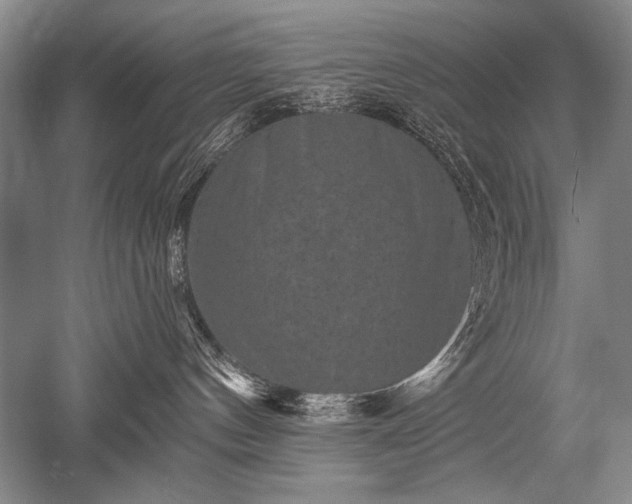 X0000052590144200507081804