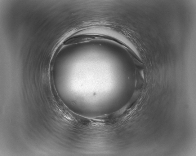 X0000052590148200507081803
