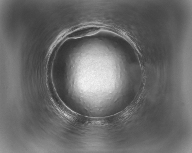 X0000052590151200507081803