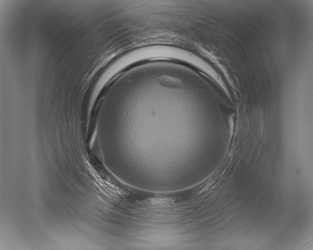 X0000052590154200507081803