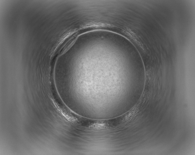 X0000052590159200507081803
