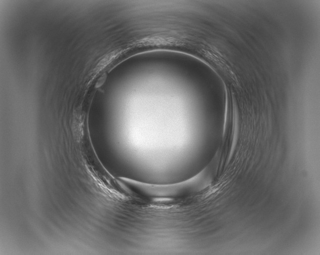 X0000052590160200507081803