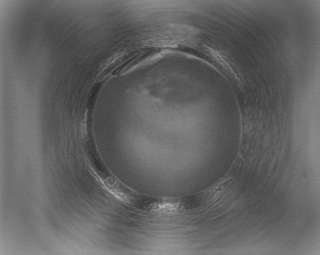 X0000052590163200507081803