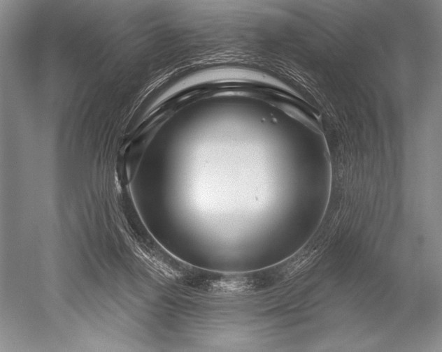 X0000052590164200507081803