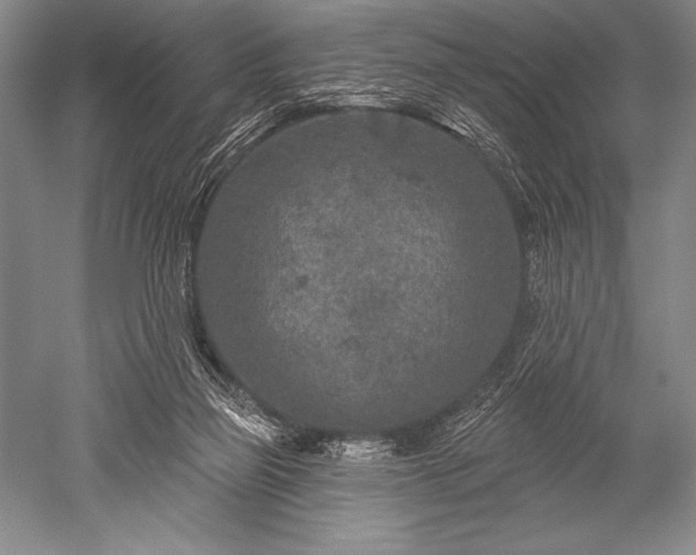 X0000052590165200507081803