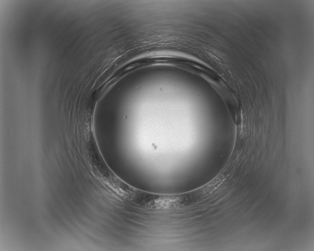 X0000052590172200507081803