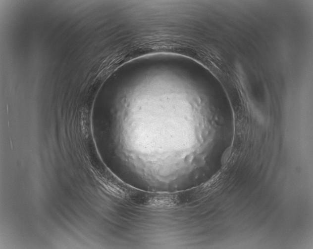 X0000052590175200507081803