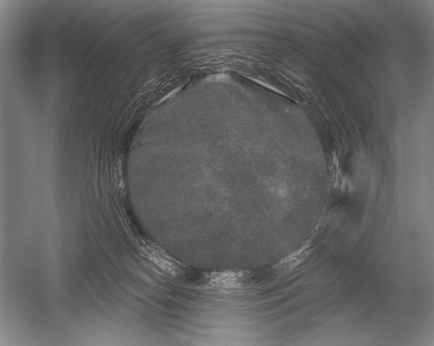 X0000052590182200507081803