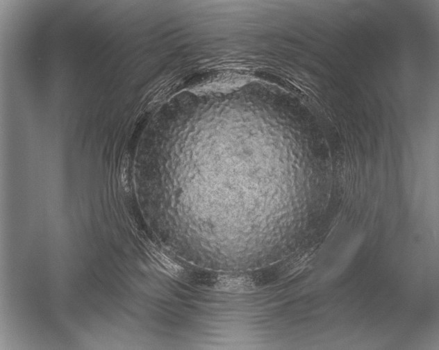 X0000052590185200507081804