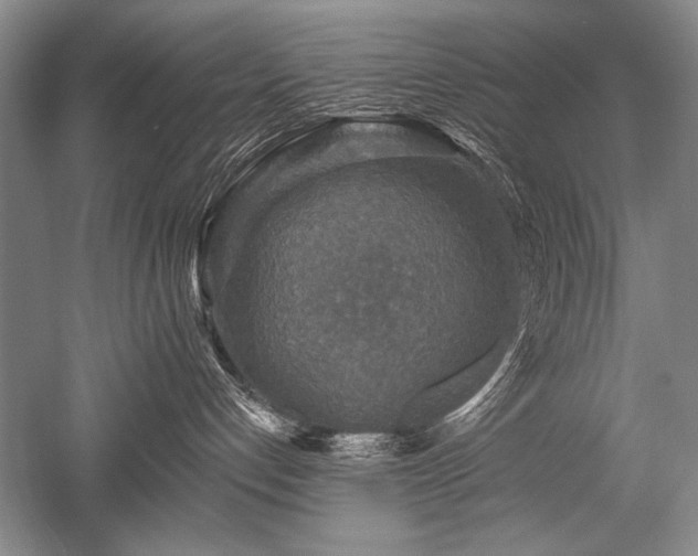 X0000052590192200507081804