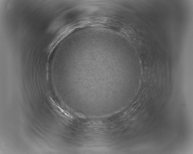 X0000052590194200507081803