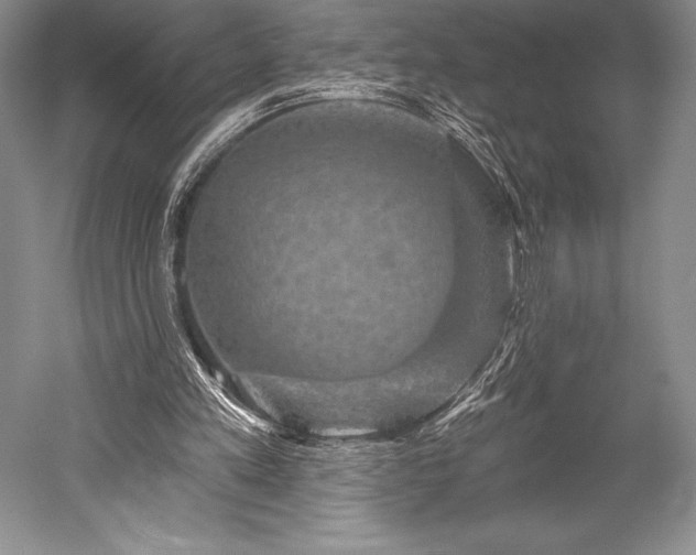 X0000052590197200507081803