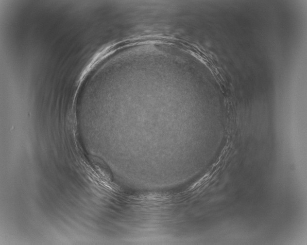 X0000052590198200507081803