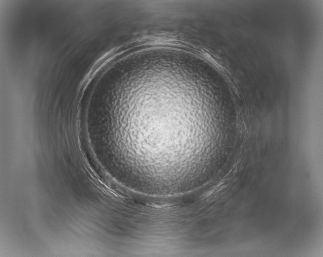 X0000052590199200507081803