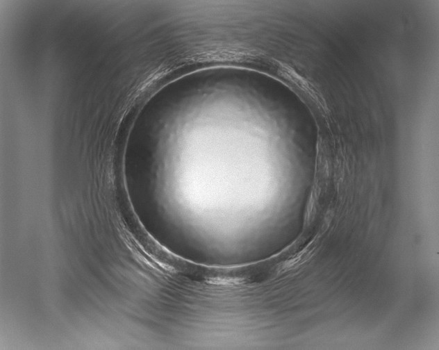 X0000052590203200507081803