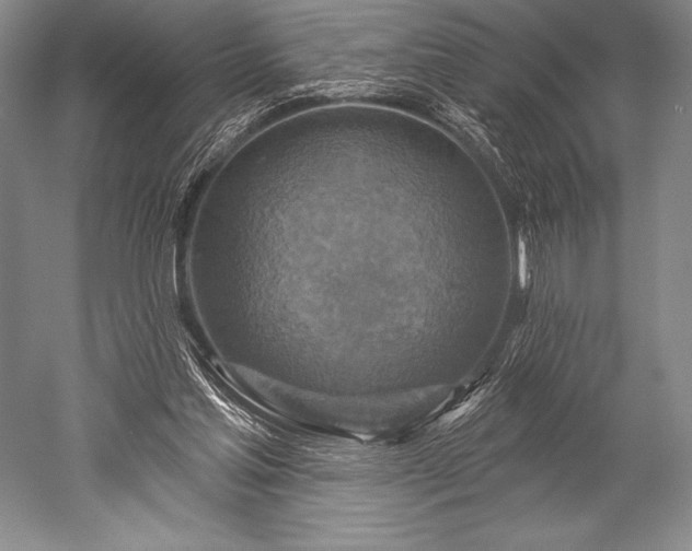 X0000052590205200507081803