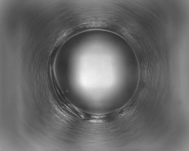 X0000052590207200507081803