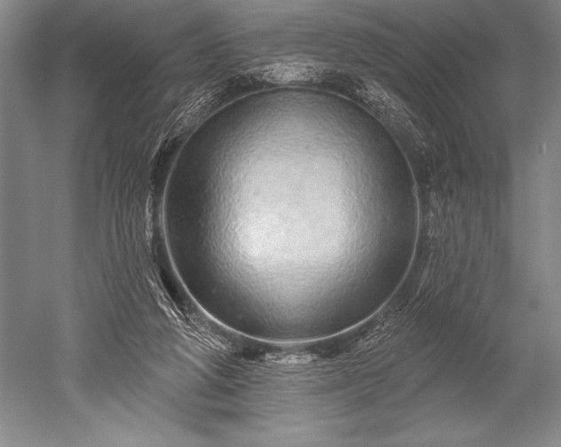 X0000052590210200507081803