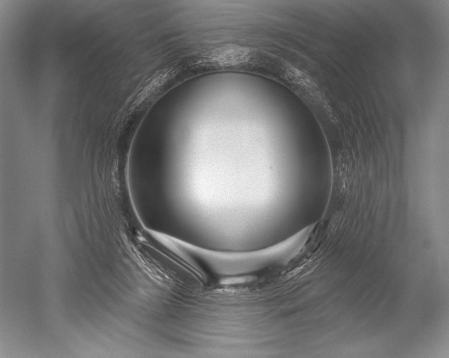 X0000052590212200507081802