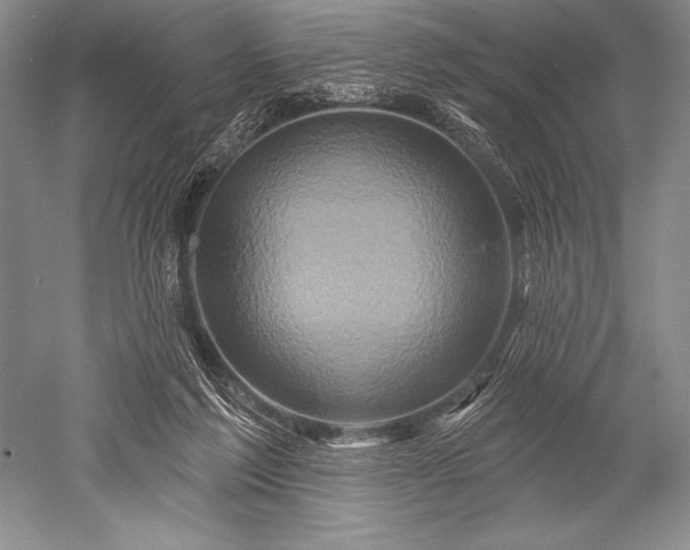 X0000052590213200507081802