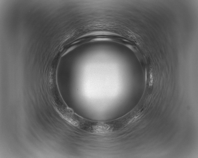 X0000052590215200507081802