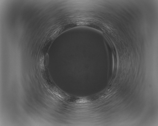 X0000052590219200507081802