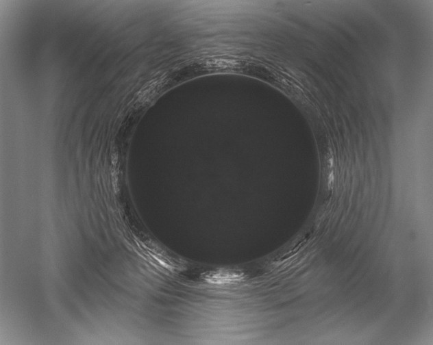 X0000052590223200507081802