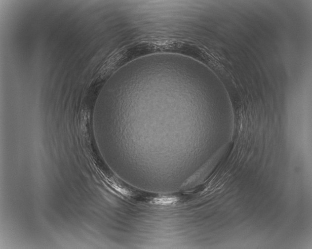 X0000052590225200507081802