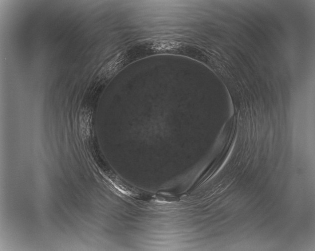 X0000052590227200507081802