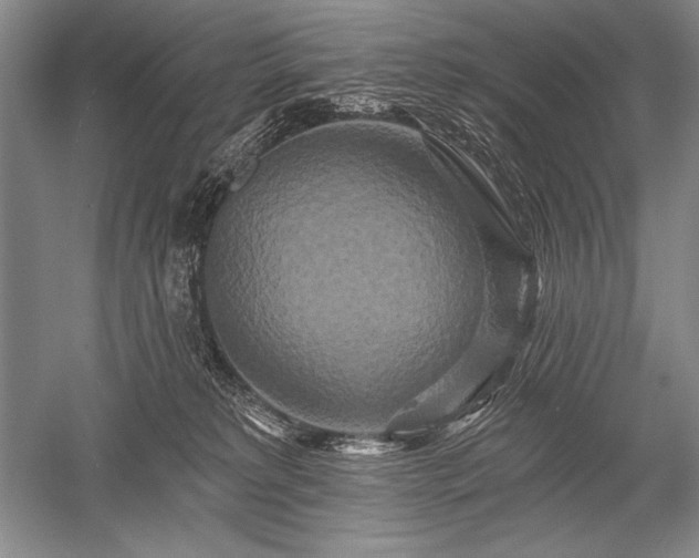 X0000052590229200507081802