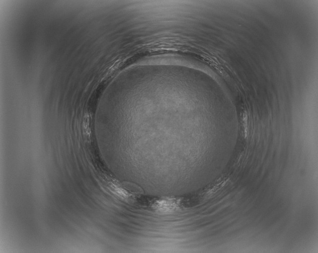 X0000052590232200507081802