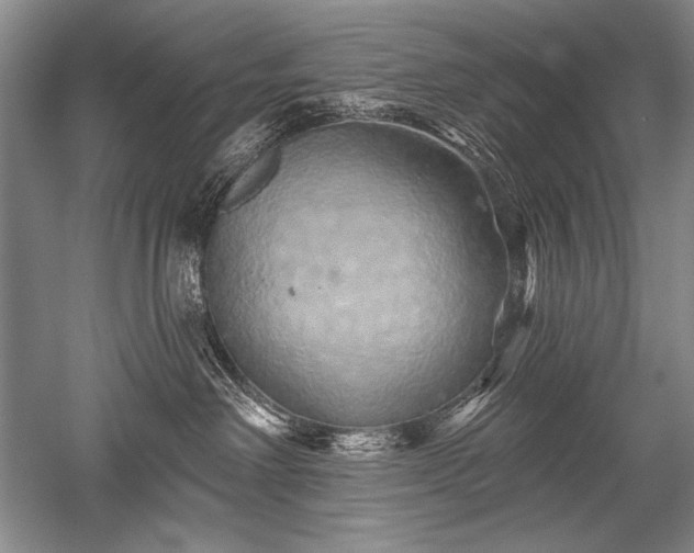 X0000052590238200507081802
