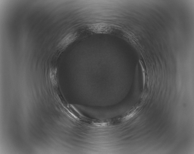 X0000052590239200507081802