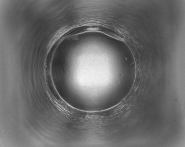X0000052590242200507081801