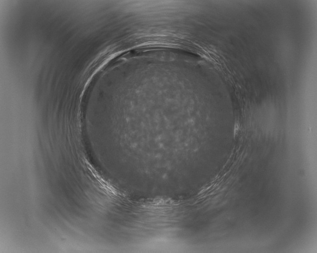 X0000052590243200507081801