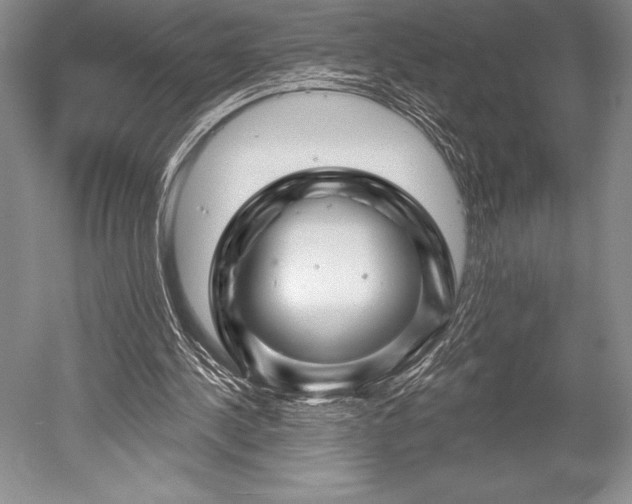 X0000052590244200507081801