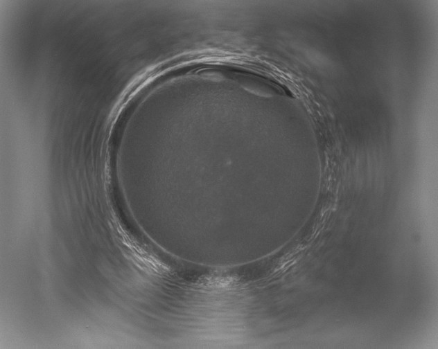 X0000052590247200507081801