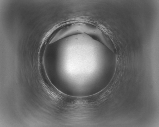X0000052590248200507081801