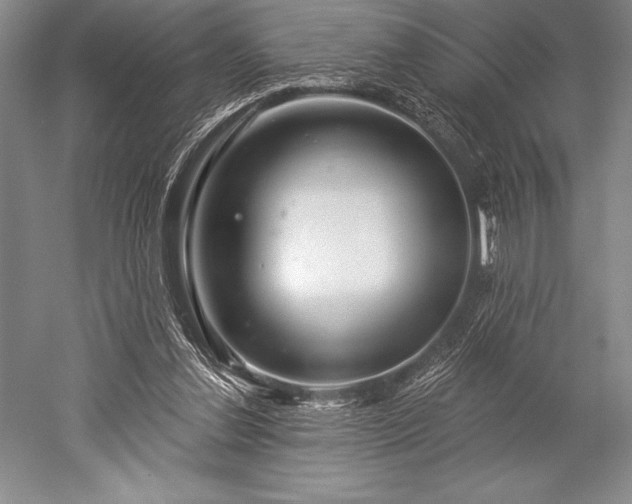 X0000052590252200507081801