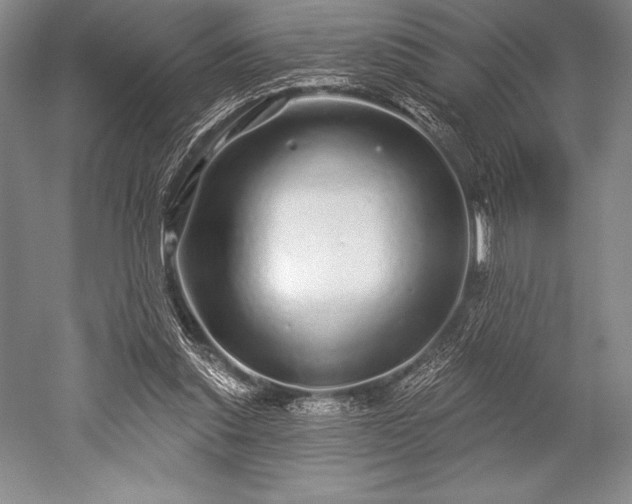 X0000052590253200507081801