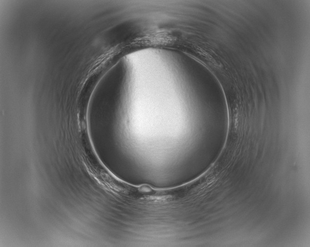 X0000052590254200507081801
