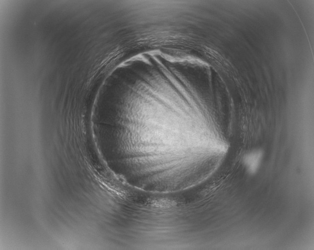 X0000052590258200507081801