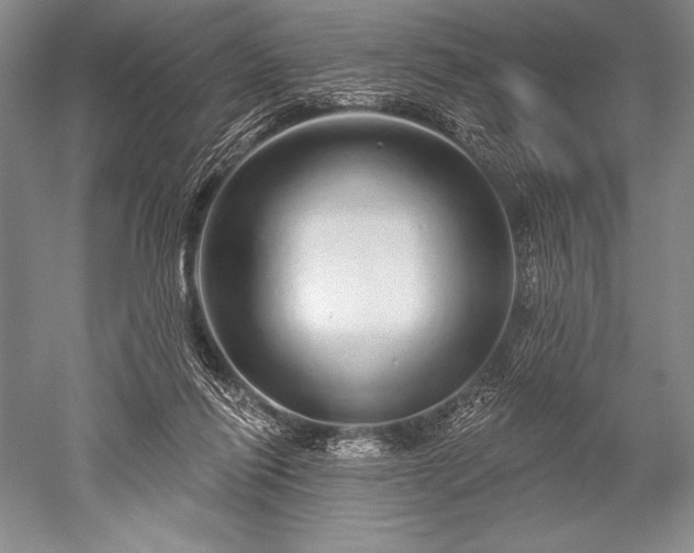 X0000052590262200507081802