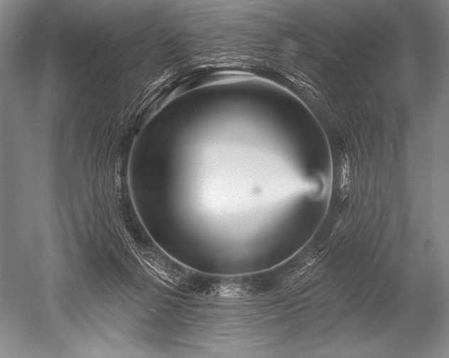 X0000052590264200507081802