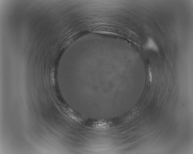 X0000052590267200507081802